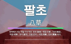 🌟팔초: 한약에서 쓰는 여덟 가지 약초. 창포(菖蒲), 애엽(艾葉), 차전(車前), 하엽(荷葉), 창이(蒼... - 표준국어대사전