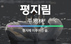 🌟평지림: 평지에 이루어진 숲. - 표준국어대사전
