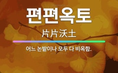 🌟편편옥토: 어느 논밭이나 모두 다 비옥함. - 표준국어대사전