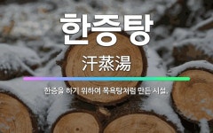 🌟한증탕: 한증을 하기 위하여 목욕탕처럼 만든 시설. - 표준국어대사전