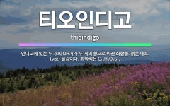 🌟티오인디고: 인디고에 있는 두 개의 NH기가 두 개의 황으로 바뀐 화합물. 붉은 배트(vat) 물감이다.... - 표준국어대사전