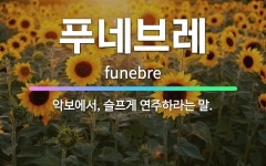 🌟푸네브레: 악보에서, 슬프게 연주하라는 말. - 표준국어대사전
