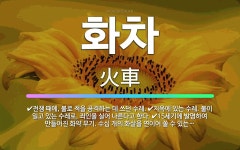 🌟화차: 전쟁 때에, 불로 적을 공격하는 데 쓰던 수레., 지옥에 있는 수레. 불이 일고 있는 수레로, 죄... - 표준국어대사전