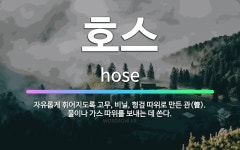 🌟호스: 자유롭게 휘어지도록 고무, 비닐, 헝겊 따위로 만든 관(管). 물이나 가스 따위를 보내는 데 쓴다. - 표준국어대사전