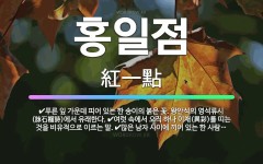 🌟홍일점: 푸른 잎 가운데 피어 있는 한 송이의 붉은 꽃. 왕안석의 영석류시(詠石榴詩)에서 유래한다., 여... - 표준국어대사전