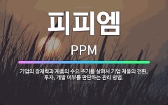 🌟피피엠: 기업의 잠재력과 제품의 수요 주기를 살펴서 기업 제품의 전환, 투자, 개발 여부를 판단하는 관리... - 표준국어대사전