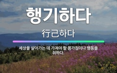 🌟행기하다: 세상을 살아가는 데 가져야 할 몸가짐이나 행동을 취하다. - 표준국어대사전