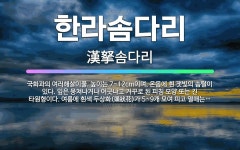 🌟한라솜다리: 국화과의 여러해살이풀. 높이는 7~12cm이며, 온몸에 흰 잿빛의 솜털이 있다. 잎은 뭉쳐나... - 표준국어대사전