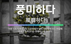 🌟풍미하다: 어떤 사회적 현상이나 사조 따위가 널리 사회에 퍼지다. 바람에 초목이 쓰러진다는 뜻에서 나온 ... - 표준국어대사전