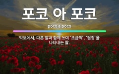 🌟포코 아 포코: 악보에서, 다른 말과 함께 쓰여 ‘조금씩’, ‘점점’을 나타내는 말. - 표준국어대사전