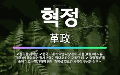 🌟혁정: 정치를 개혁함., 중국 고대의 역법 사상에서, 세성(歲星)이 묘유(卯酉)에 해당되어 정치 변혁이 ... - 표준국어대사전