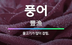 🌟풍어: 물고기가 많이 잡힘. - 표준국어대사전