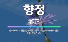 🌟향정: 향소(鄕所)의 일을 맡아보던 사람. 이에는 좌수(座首), 별감(別監) 따위가 있다. - 표준국어대사전