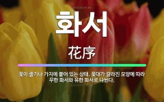 🌟화서: 꽃이 줄기나 가지에 붙어 있는 상태. 꽃대가 갈라진 모양에 따라 무한 화서와 유한 화서로 나뉜다. - 표준국어대사전