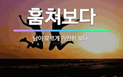 🌟훔쳐보다: 남이 모르게 가만히 보다. - 표준국어대사전