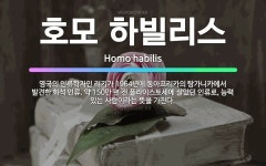 🌟호모 하빌리스: 영국의 인류학자인 리키가 1964년에 동아프리카의 탕가니카에서 발견한 화석 인류. 약 1... - 표준국어대사전