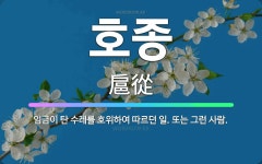 🌟호종: 임금이 탄 수레를 호위하여 따르던 일. 또는 그런 사람. - 표준국어대사전
