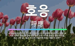 🌟호응: 부름에 응답한다는 뜻으로, 부름이나 호소 따위에 대답하거나 응함., 서로 기맥이 통함., 앞에 어... - 표준국어대사전