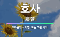 🌟호사: 호화롭게 사치함. 또는 그런 사치. - 표준국어대사전