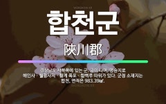 🌟합천군: 경상남도 서북쪽에 있는 군. 금이 나며, 명승지로 해인사ㆍ월광사지ㆍ황계 폭포ㆍ함벽루 따위가 있다... - 표준국어대사전