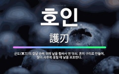 🌟호인: 군도(軍刀)의 칼날 슴베 위에 날을 휩싸서 댄 덧쇠. 흔히 구리로 만들며, 칼이 자루에 꽂힐 때 ... - 표준국어대사전