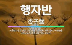 🌟행자반: 은행나무로 만든 소반. 가볍고 품질이 매우 좋다., 윗면을 은행나무 판자로 대어 만든 바둑판. - 표준국어대사전