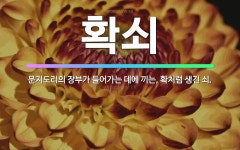 🌟확쇠: 문지도리의 장부가 들어가는 데에 끼는, 확처럼 생긴 쇠. - 표준국어대사전