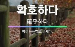 인동이알씨 | 🌟확호하다: 아주 든든하고 굳세다. - 표준국어대사전