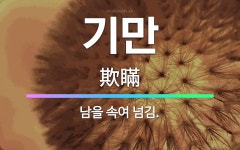 🌟기만: 남을 속여 넘김. - 표준국어대사전