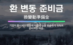 🌟환 변동 준비금: 기업이 환시세의 변동에 따른 손실을 보충하기 위하여 준비하는 자금. - 표준국어대사전
