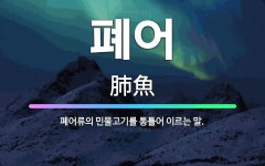 🌟폐어: 폐어류의 민물고기를 통틀어 이르는 말. - 표준국어대사전