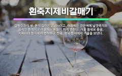 🌟흰죽지제비갈매기: 갈매깃과의 새. 몸의 길이는 25cm이고, 여름에는 검은색에 날갯죽지와 꽁지만 흰색이고... - 표준국어대사전