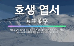 🌟호생 엽서: 식물의 잎이 줄기의 마디 하나에 한 장씩 붙는 잎차례의 하나. 식물의 잎이 마디마다 방향을 ... - 표준국어대사전