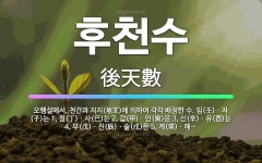 🌟후천수: 오행설에서, 천간과 지지(地支)에 의하여 각각 배정한 수. 임(壬)ㆍ자(子)는 1, 정(丁)ㆍ사... - 표준국어대사전
