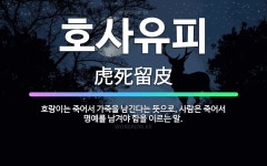 🌟호사유피: 호랑이는 죽어서 가죽을 남긴다는 뜻으로, 사람은 죽어서 명예를 남겨야 함을 이르는 말. - 표준국어대사전