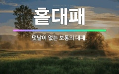 🌟홑대패: 덧날이 없는 보통의 대패. - 표준국어대사전