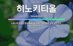🌟히노키티올: 노송나무 따위의 정유(精油)에서 얻는 무색 결정. 항균성이 있다. 화학식은 C<span cl... - 표준국어대사전