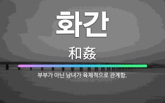 🌟화간: 부부가 아닌 남녀가 육체적으로 관계함. - 표준국어대사전