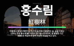 🌟홍수림: 아열대나 열대의 해변이나 하구의 습지에서 발달하는 숲. 숲을 이루는 나무는 주로 홍수(紅樹) 따... - 표준국어대사전