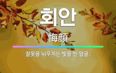 🌟회안: 잘못을 뉘우치는 빛을 띤 얼굴. - 표준국어대사전