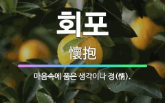🌟회포: 마음속에 품은 생각이나 정(情). - 표준국어대사전