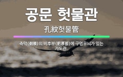 🌟공문 헛물관: 측막(側膜)의 비후부(肥厚部)에 구멍무늬가 있는 가도관. - 표준국어대사전