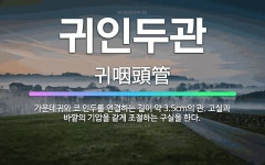 🌟귀인두관: 가운데귀와 코 인두를 연결하는 길이 약 3.5cm의 관. 고실과 바깥의 기압을 같게 조절하는 ... - 표준국어대사전