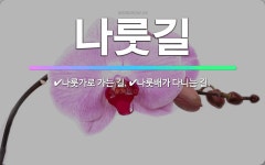🌟나룻길: 나룻가로 가는 길., 나룻배가 다니는 길. - 표준국어대사전