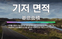 🌟기저 면적: 나무를 사람의 가슴 높이로 잘랐을 때의 줄기의 단면적. 대개 지름으로 측정하며 수림(樹林)의... - 표준국어대사전