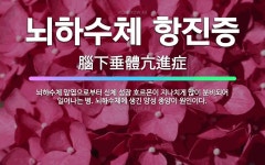 🌟뇌하수체 항진증: 뇌하수체 앞엽으로부터 신체 성장 호르몬이 지나치게 많이 분비되어 일어나는 병. 뇌하수체... - 표준국어대사전
