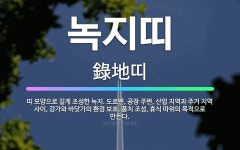 🌟녹지띠: 띠 모양으로 길게 조성한 녹지. 도로변, 공장 주변, 산업 지역과 주거 지역 사이, 강가와 바닷... - 표준국어대사전