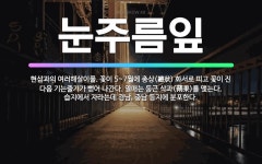 🌟눈주름잎: 현삼과의 여러해살이풀. 꽃이 5~7월에 총상(總狀) 화서로 피고 꽃이 진 다음 기는줄기가 뻗어... - 표준국어대사전