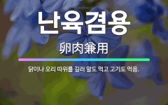 🌟난육겸용: 닭이나 오리 따위를 길러 알도 먹고 고기도 먹음. - 표준국어대사전