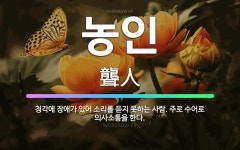 🌟농인: 청각에 장애가 있어 소리를 듣지 못하는 사람. 주로 수어로 의사소통을 한다. - 표준국어대사전